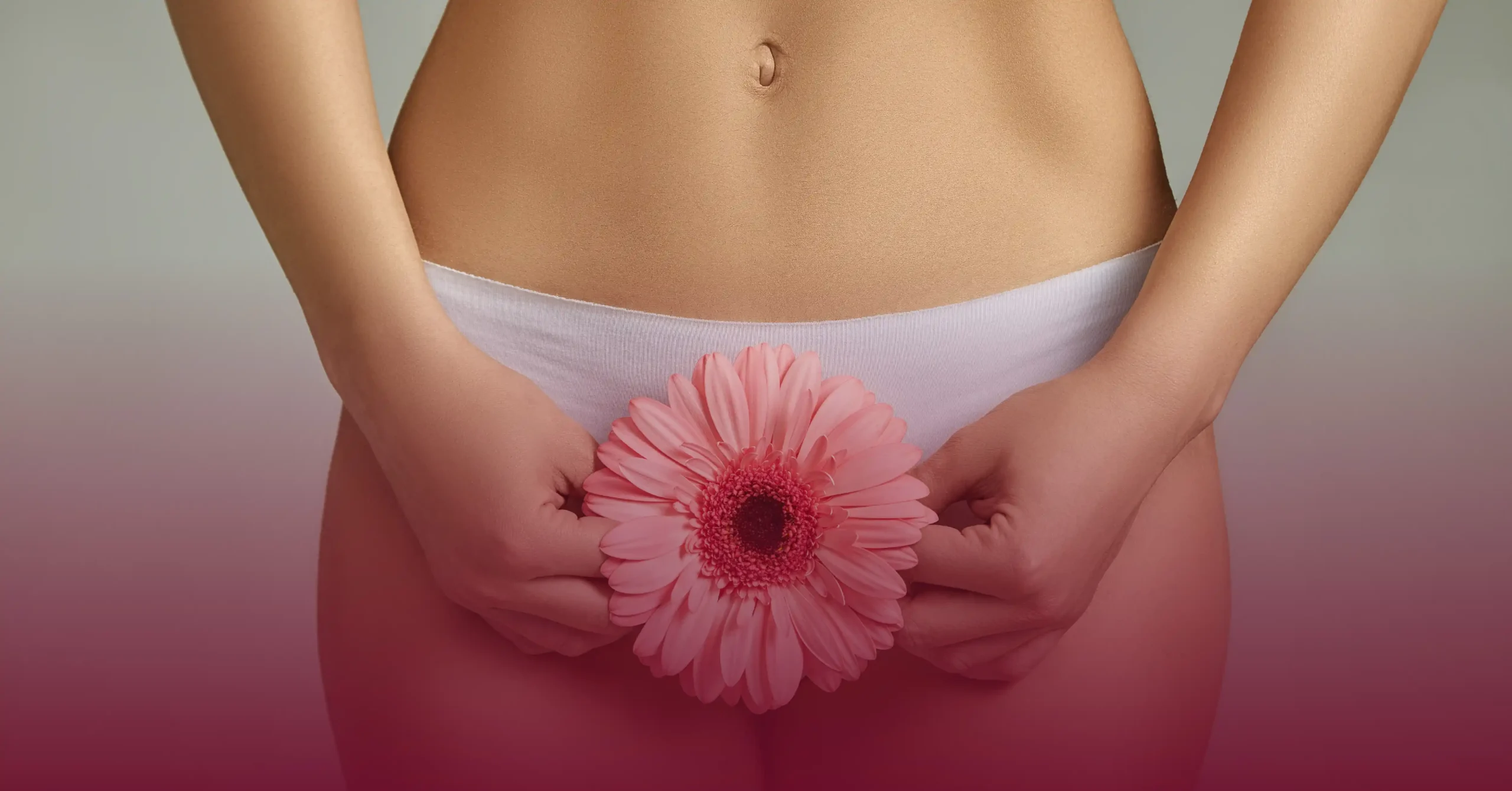 Labiaplasty Workshop